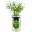 Kit de cultivo hidropônico de endro Environet para cultivo indoor