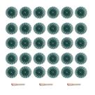 Kit de disco de cerdas radiais FPPO 30 unidades de 25 mm com 3 mm Shank Grit 80