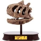 Kit de Escavação de Crânio de Carnotaurus ArtCreativity - Brinquedo Educativo para Crianças
