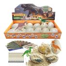 Kit de escavação de ovos de dinossauro Dino LIHBCAIYI, 12 unidades de 6 a 12 anos