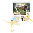 Kit de Escavação Paleo Hunter Velociraptor Rex HamiltonBuhl