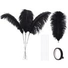 Kit de fabricação de penas Ballinger Black Ostrich 10 unidades 70 cm
