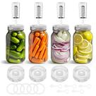 Kit de Fermentação VSAPRDT para Potes Mason de Boca Larga