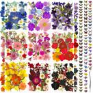 Kit de flores secas prensadas VCTSELITY com 80 adesivos de borboleta