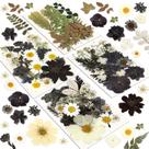 Kit de flores secas, resinadores, conjunto de 100 unidades prensadas naturais