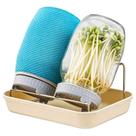Kit de Germinação ZJ Whoest com 2 Potes de Boca Larga de 946 ml Kit de Germinação ZJ Whoest com 2 Potes de Boca Larga de 946 ml