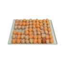 Kit De Grades Para Chocadeira 70 Ovos Chocmaster