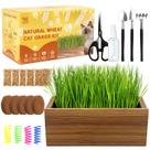 Kit de Grama para Gatos HiHOYA com Floreira de Madeira e 5 Pacotes de Sementes
