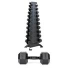 Kit de Halteres Black Hex com Suporte Premium para Treinamento (1 a 10Kg) - SUMO