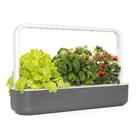 Kit de jardim de ervas para interior Click & Grow Smart Garden Grey Kit de jardim de ervas para interior Click & Grow Smart Garden Grey