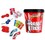 Kit De Mágica Fun Coelho Mágico 25 Truques Fun Divirta se