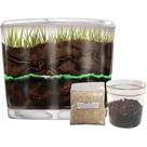 Kit de Minhocário Nature Gift Store com Minhocas Vivas e Acessórios Kit de Minhocário Nature Gift Store com Minhocas Vivas e Acessórios
