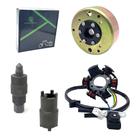 Kit de Motor Elétrico LK LEAPING KNIGHT Magneto Estator Volante Kit de Motor Elétrico LK LEAPING KNIGHT Magneto Estator Volante