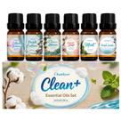 Kit de Óleos Essenciais Chanhyer 6x10 ml Aromas Frescos