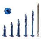 Kit de parafusos de bolso TOPMALLEX 700 unidades com revestimento azul
