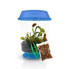 Kit de Planta Carnívora Vênus Papa-Moscas Nature Gift Store Terrário 11 cm Kit de Planta Carnívora Vênus Papa-Moscas Nature Gift Store Terrário 11 cm