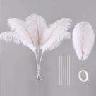 Kit de Plumas de Avestruz Ballinger 10 Piezas 71 cm Grandes Blancas