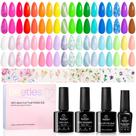 Kit de polimento em gel besouros Impressionist Garden 36 cores