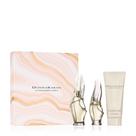 Kit de Presente de Perfume Donna Karan Cashmere Mist 100 ml Kit de Presente de Perfume Donna Karan Cashmere Mist 100 ml