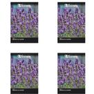 Kit de sementes alfazema ou lavanda feltrin 4 unid