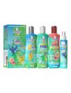 Kit de Shampoo Capilar