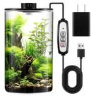 Kit de terrário de plantas de vidro Maxdot com luz 25x15cm
