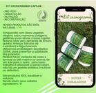 Kit de tratamento cronograma capilar+ pré-poo 100% naturais e artesanais