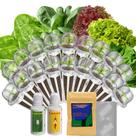 Kit de Vagens de Sementes inbloom para Hortaliças de Salada Hidropônica com 18 Vagens Kit de Vagens de Sementes inbloom para Hortaliças de Salada Hidropônica com 18 Vagens