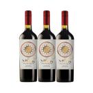 Kit de Vinhos Sem Álcool Tinto Seco CS Mayos - 750mL - Chile - 03 un Kit de Vinhos Sem Álcool Tinto Seco CS Mayos - 750mL - Chile - 03 un