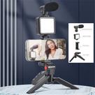 Kit De Vlogg Filmagem Microfone Tripé Luz Live Profissional