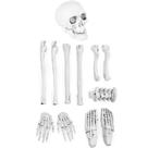 Kit Decoração Halloween Cemitério Cranio Pé Mão e 7 Ossos de Esqueleto Realista Casa Jardim Quintal