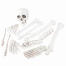 Kit Decorativo Halloween de Caveira com 12 Peças Kit Decorativo Halloween de Caveira com 12 Peças