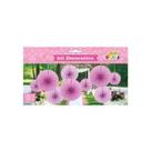 Kit Decorativo Rosa Com 3 Unidades
