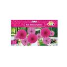 Kit Decorativo Rosa Com 3 Unidades