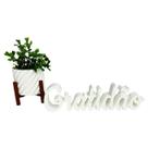 Kit Decorativo Vasinho Palavra Gratidão Planta Delicado Flor Kit Decorativo Vasinho Palavra Gratidão Planta Delicado Flor