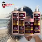 Kit Desalfy Hair Linha D Cachos Com Óleo de Ojon proteínas e vitamina E 4x1L Kit Desalfy Hair Linha D Cachos Com Óleo de Ojon proteínas e vitamina E 4x1L