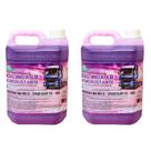 Kit Desincrustante Mag Inox LB Ativado 5 Litros 2 Uni Magnil