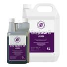 Kit Desintegrador de Dejetos Enzylase Q 6L lavanda para Banheiros fixos móveis motorhome barco e portapotti