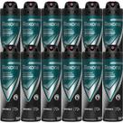 Kit Desodorante Aerosol Rexona Invisible 90g/150ml - 12 Unidades Kit Desodorante Aerosol Rexona Invisible 90g/150ml - 12 Unidades