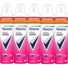 Kit Desodorante Antitranspirante Aerosol Rexona Powder Dry 72 horas 250ml - 5 Unidades Kit Desodorante Antitranspirante Aerosol Rexona Powder Dry 72 horas 250ml - 5 Unidades