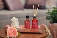 Kit Difusor de Aromas e Sabonete Perfumado Liquido Para Presentes - Morango Alecrim Canela