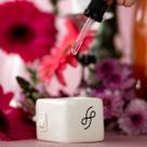 Kit Difusor Elétrico + Essência Concentrada de Champagne Rose