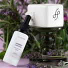 Kit Difusor Elétrico + Essência Concentrada de Lavanda Francesa