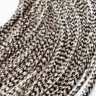 Kit DIY de penas de cabelo Feather Lily com 20 penas de galo reais