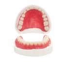 Kit DIY de Próteses Temporárias Genérico para Dentes Superior e Inferior