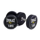 Kit Dumbbell PU Everlast Inox De 18kg - Par