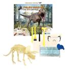 Kit Educacional de Escavação HamiltonBuhl Triceratops Rex