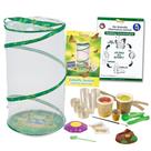 Kit escolar Butterfly Garden Pavilion com 33 lagartas vivas