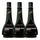 Kit Escova Acetinada 500ml Raiz Latina Profissional 3 Fases Shampoo Reconstrutor Máscara Tratamento