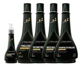Kit Escova Acetinada Completo Raiz Latina Hidratação Profissional Salão 500ml + Selante Reparador